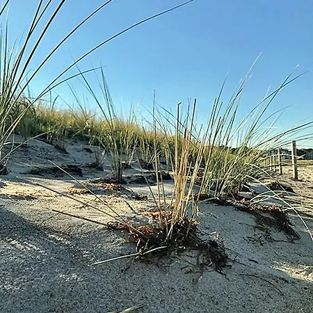 Strandhaus Seestern